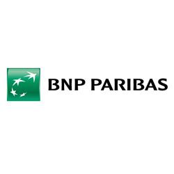 bnp file|Iba pa.